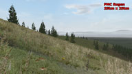 PMC ArmA 2 Screenshot