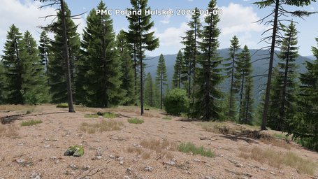 PMC Poland Hulskie ArmA 3 Screenshot