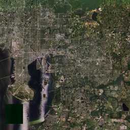 PMC USA, Florida Tampa Terrains Satellite Texture